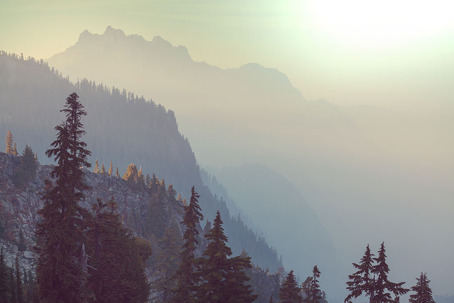 Common Issues We Can Help You With